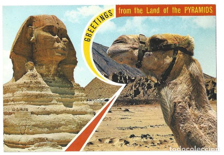 Cartes Postales: GREETINGS FROM THE LAND OF THE PYRAMIDS.- N&ordm; 303, SOUVENIR D'EGYPTE- SIN CIRCULAR. A&Ntilde;OS 70