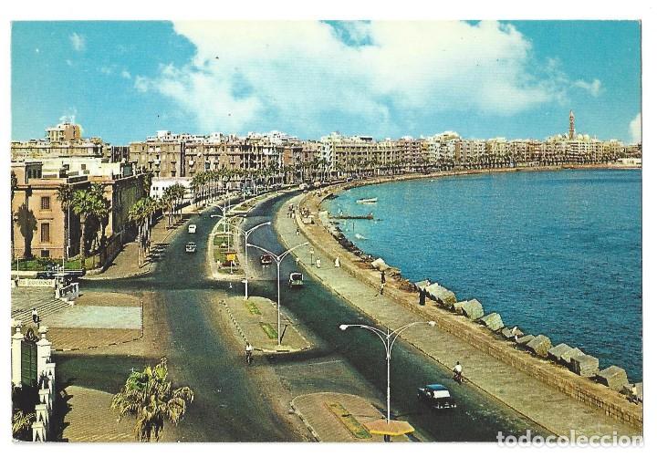 Cartes Postales: ALEXANDRIA.- N&ordm; 206, LA CORNICHE. LA CORNISA. EGIPTO- A&Ntilde;OS 70. SIN CIRCULAR