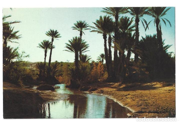 Cartes Postales: BECHAR.- N&ordm; 4052, LA PALMERAIE, ED. JEFAL. ARGELIA- SIN CIRCULAR. A&Ntilde;OS 60