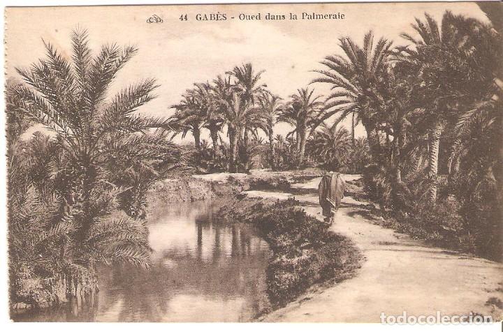 Postais: POSTAL ANTIGUA, TUNISIE, GAB&Eacute;S, OQUED DANS LA PALMERATE, SIN CIRCULAR