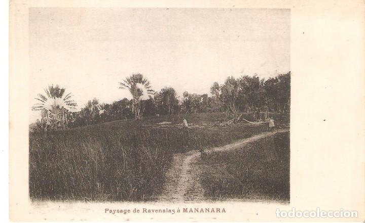 Postais: POSTAL ANTIGUA, MADAGASCAR, PAYSAGE DE RAVENALAS A MANANARA,  SIN CIRCULAR