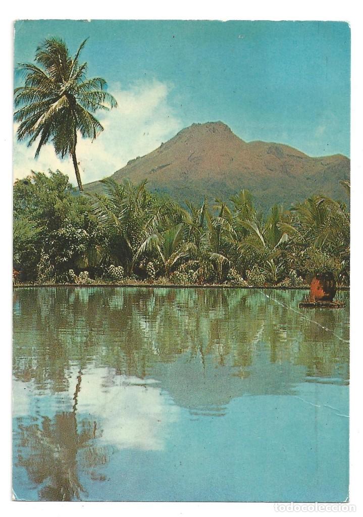 Postais: MARTINIQUE.- LA MONTAGNE PEL&Eacute;E. VUE DU PARNASSE. EDITIONS ROSE- ROSETTE. MARTINICA- 1982
