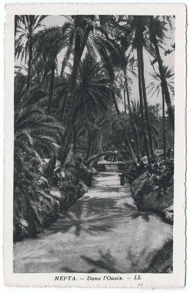 Cartoline: Postal Tunez. Nefta. Dans l'Oasis. Levy et Neurdein Reunis