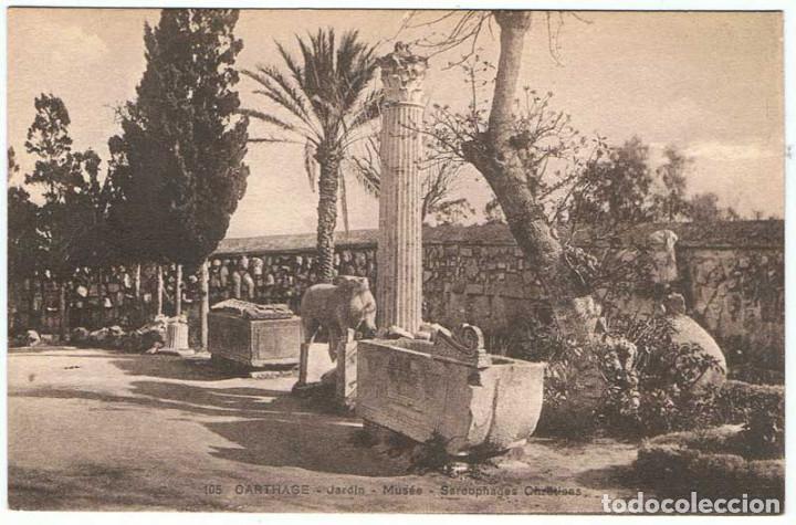Cartoline: Postal Tunez. Carthage. Jardin. Mus&eacute;e. Sarcophages Chretiens N&ordm; 105