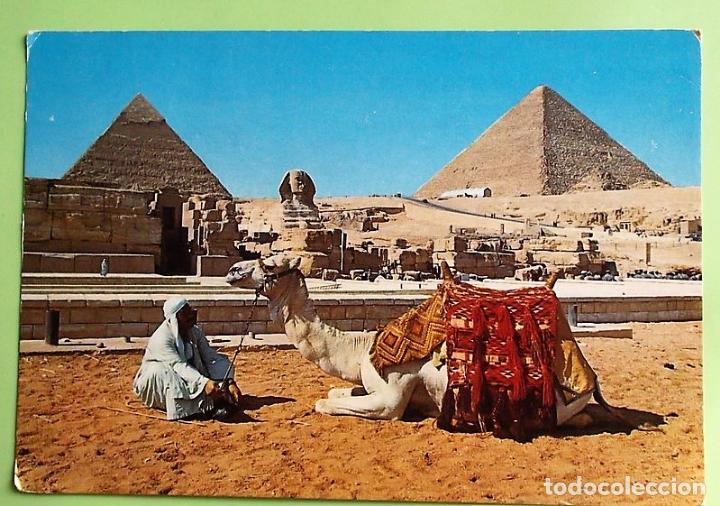 Postais: Giza. Esfinge y Pir&aacute;mides. Camello y su due&ntilde;o. Usada con sello. Color