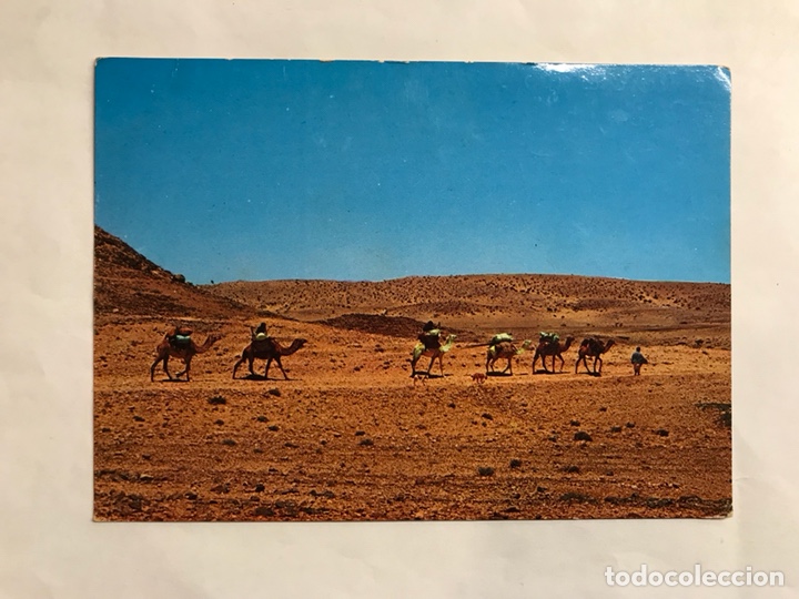 Postais: SAHARA. Postal. Atravesando el Desierto. Colecci&oacute;n Las Afortunadas. (a.1975)