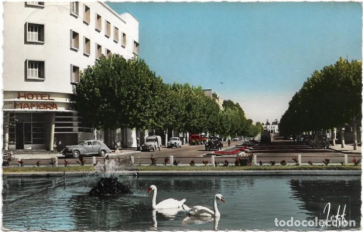 Postais: KHENITRA N&ordm; 113 AVENUE DE LA MARNE .- EDITION JEFF