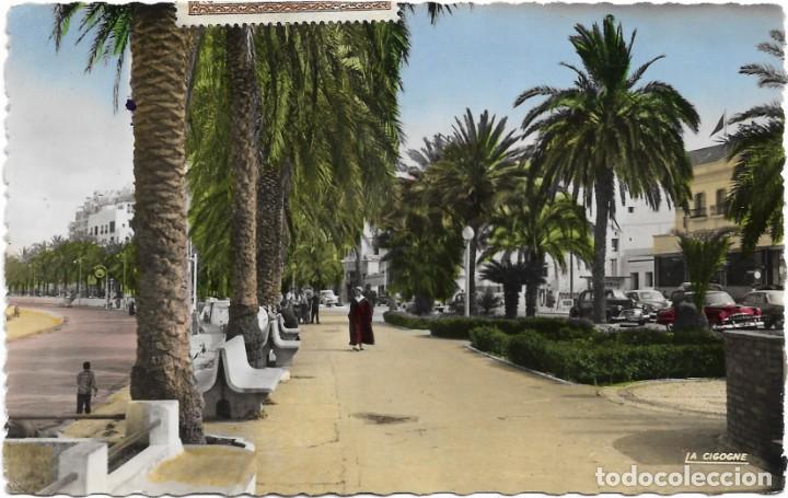 Postcards: TANGER N&ordm; 9932648 AVENUE D'ESPAGNE .- EDITION LA CIGOGNE