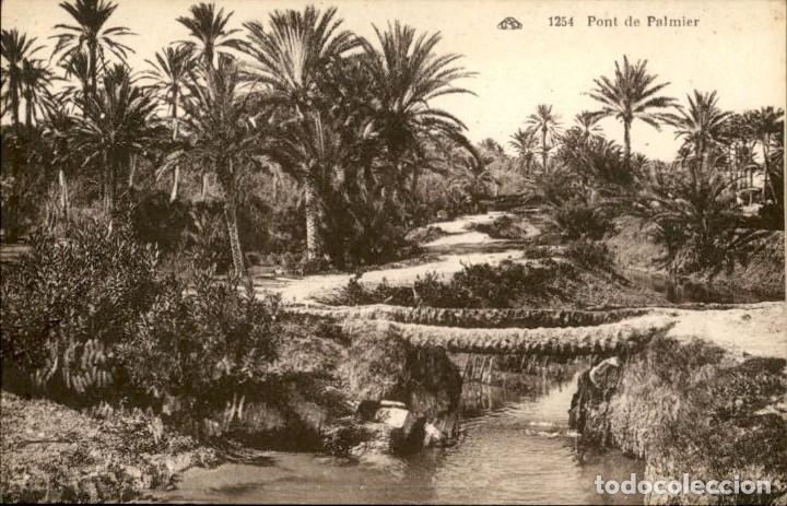 Postcards: Original &ndash; Pont de Palmier &ndash; Magred &ndash; 14 x 9 cms - CPA