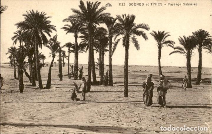 Postcards: Original - Scenes et types Paysage Saharien &ndash; Magred &ndash; 14 x 9 cms - CPA