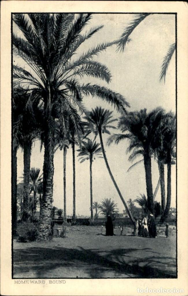 Postales: Original - Scenes et types Homeward bound &ndash; Magred &ndash; 14 x 9 cms - CPA