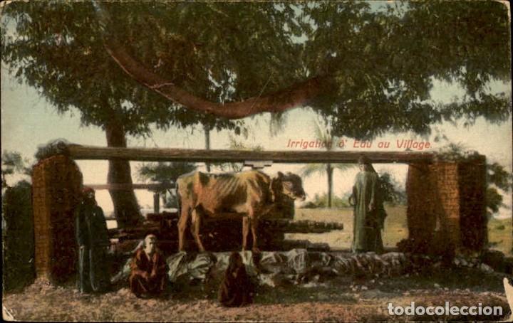Postales: Original - Scenes et types Irrigation d&acute;eau au Village &ndash; Magred &ndash; 14 x 9 cms &ndash; CPA &ndash; Egypte