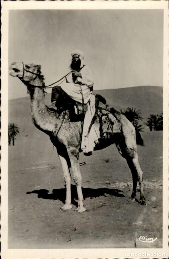 Postales: Original - Scenes et types Chameau - Camello &ndash; Magred &ndash; 14 x 9 cms &ndash; CPA