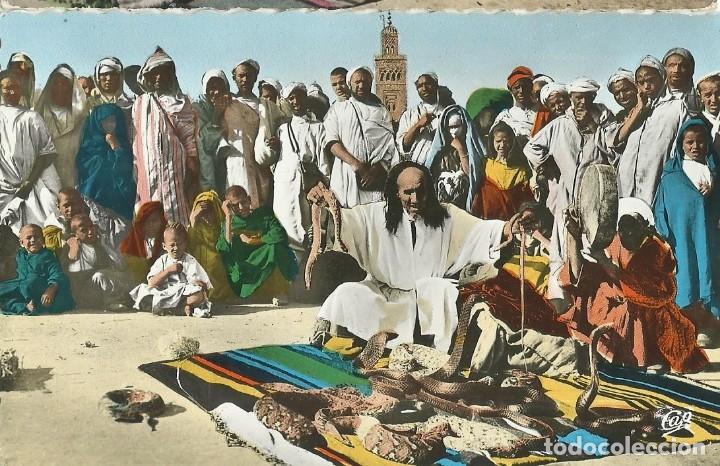 Cartes Postales: MAROC MARRUECOS. Charmeur