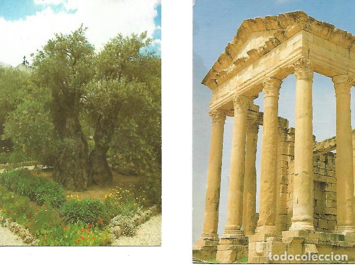 Postales: COLECCION DE 14 POSTALES DE JERUSALEN - Foto 3