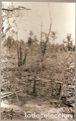 Cartes Postales: Mozambique ** & Postal, Im&aacute;genes de Mozambique, Edici&oacute;n Cambaco (6883)