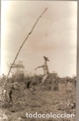 Cartes Postales: Mozambique ** & Postal, Im&aacute;genes de Mozambique, Edici&oacute;n Cambaco (6884)