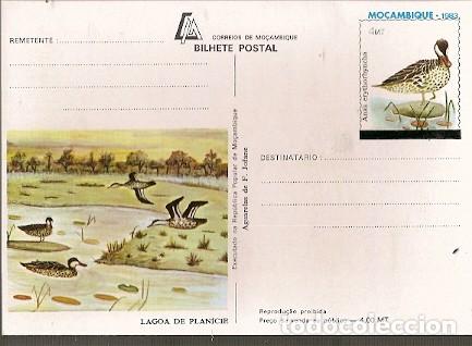 Cartes Postales: Mozambique ** & Intero, Aguarela por F. Jofane, Marreco, Anas Erythrorhyncha (1129)