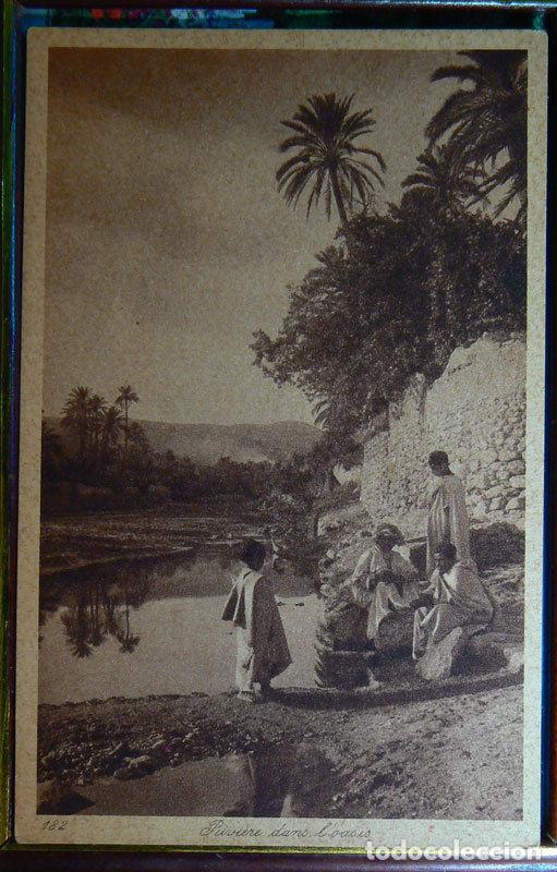 Postcards: ALGERIE riviere dans l'oasis Algeria