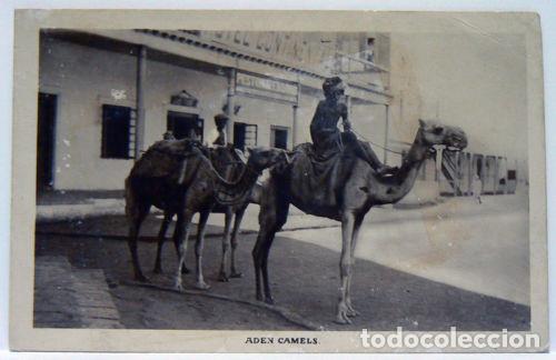 Postcards: ADEN CAMELS - BOYS IN CAMEL - CHILDREN IN CAMEL - ni&ntilde;os en camello