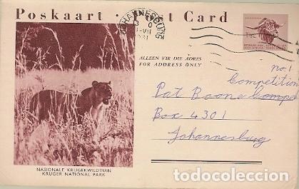 Postais: Sudafrica & Intero, Parque Nacional Kruger, Park, Johannesburg 1961 (7684)