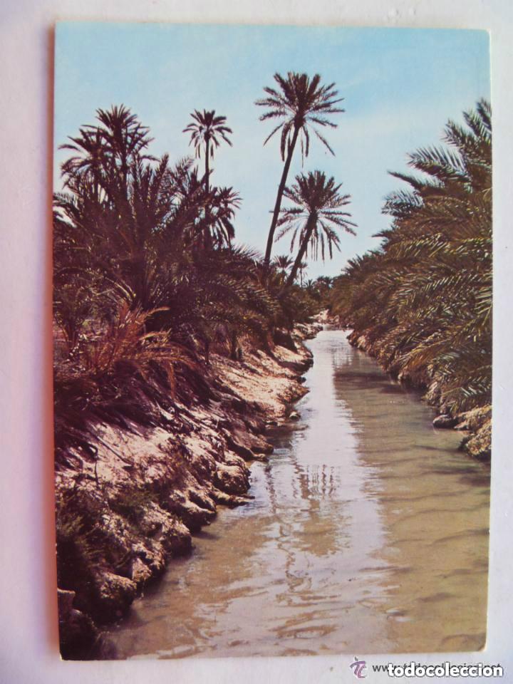 Postales: POSTAL DE TOZEUR ( TUNEZ ) - Foto 1