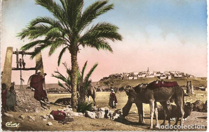 Cartes Postales: POSTAL, L&acute;ABREUVOIR PRES DES PUITS-COLLECTION ARTISTIQUE L'AFRIQUE, ESCRITA