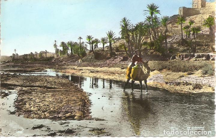 Cartes Postales: POSTAL, SUD MAROCAIN-MARRUECOS, KASBAH SUR BORDS DU DRAA, ED. LA CIGOGNE, SIN CIRCULAR