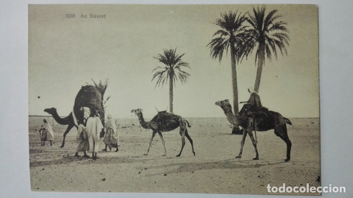 Postais: ANTIGUA POSTAL, AU DESERT, N&ordm; 1280