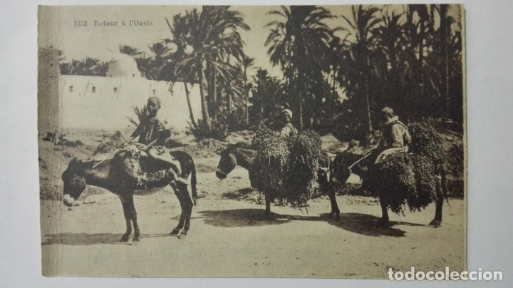 Postais: ANTIGUA POSTAL, RETOUR A L'OASIS, N&ordm; 1332