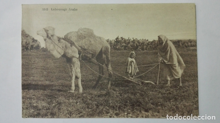 Postais: ANTIGUA POSTAL, LABOURAGE ARABE, N&ordm; 1013