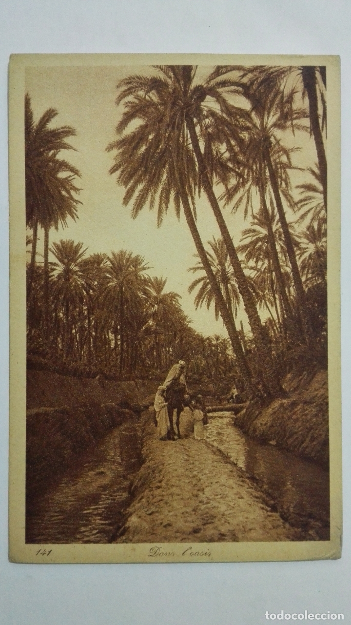 Postais: ANTIGUA POSTAL, DANS L'OASIS, N&ordm; 141