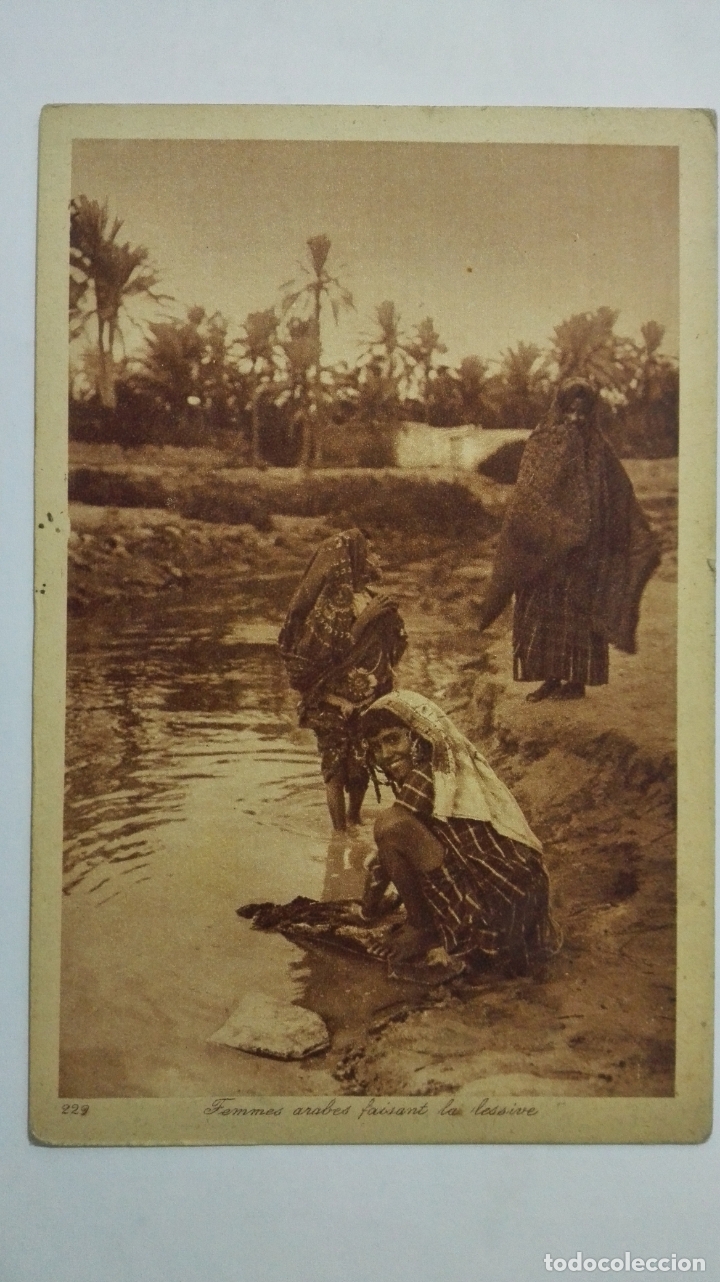 Postais: ANTIGUA POSTAL, FEMMES ARABES FAISANT LA LESSIVE, N&ordm; 229