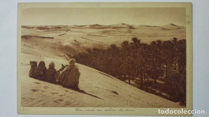 Postais: ANTIGUA POSTAL, UNE OASIS AU MILIEU DES DUNES, N&ordm; 233, EDITOR L & L