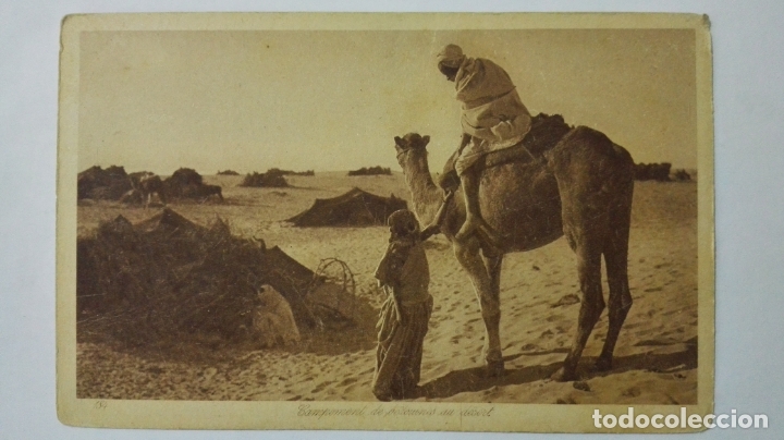 Postais: ANTIGUA POSTAL, CAMPEMENT DE BEDOUINES AU DESERT, N&ordm; 184, EDITOR L & L