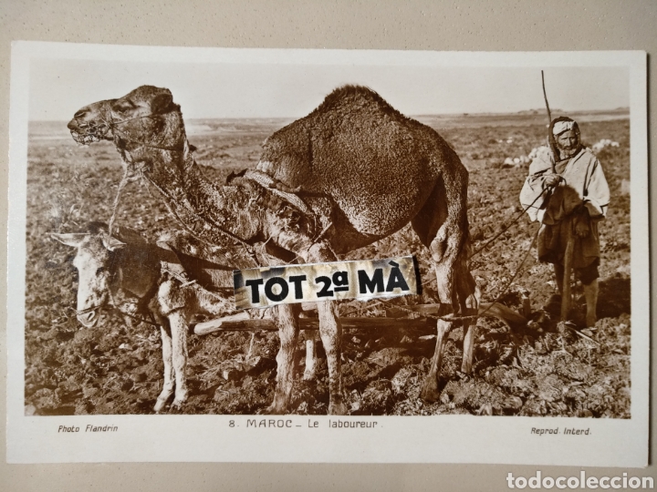 Postais: Antigua Postal Marruecos. Photo flandrin