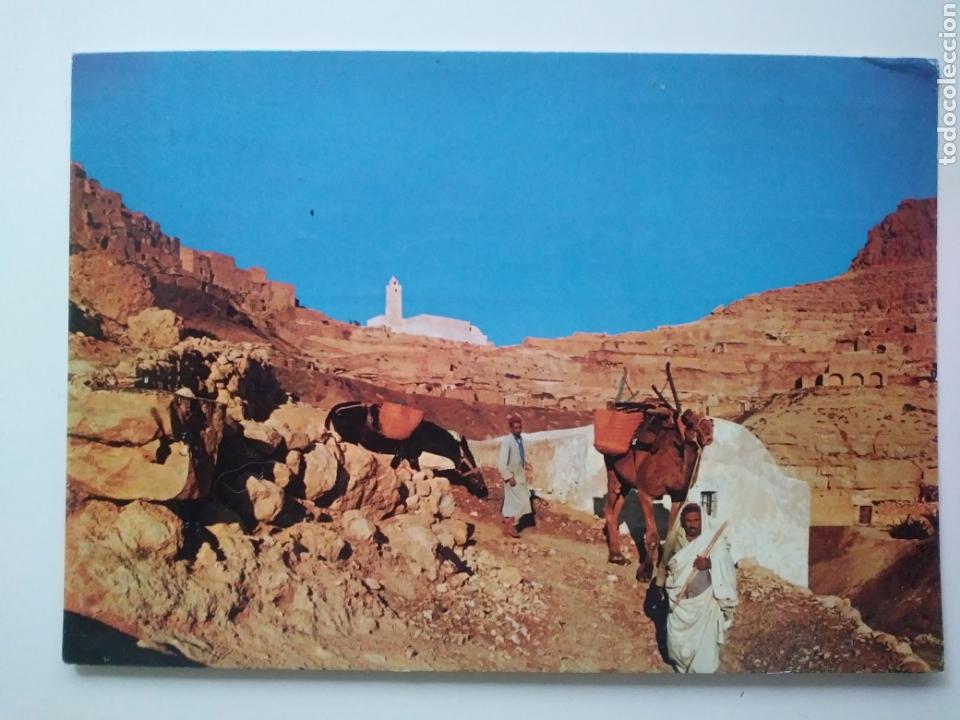 Cartes Postales: Republica tunecina:chemin de foum.circulada.