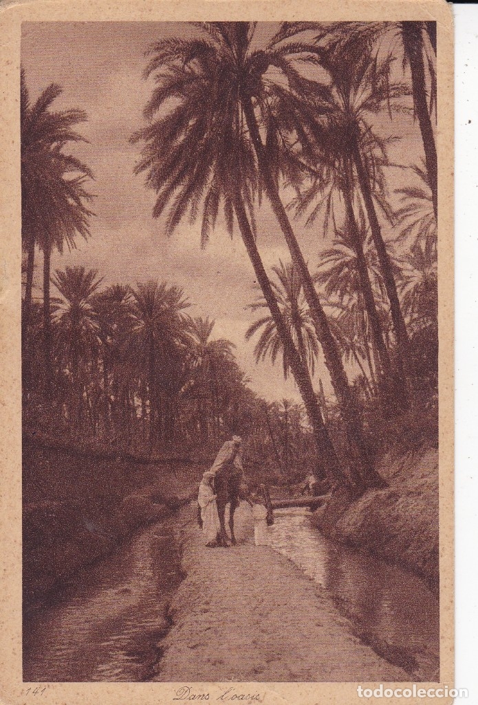 Postales: Dentro de un Oasis escrita 1924 - Foto 1