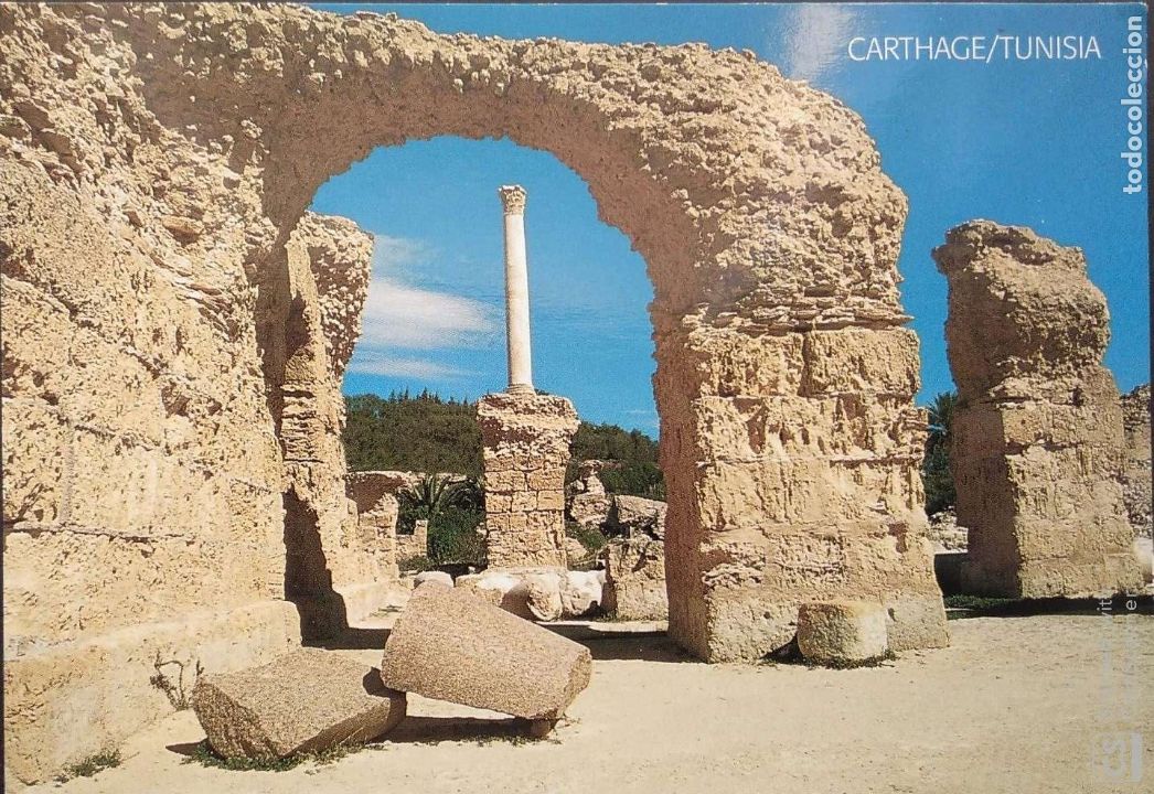 Postales: T&uacute;nez. Car 8 Cartago. Nueva. Color