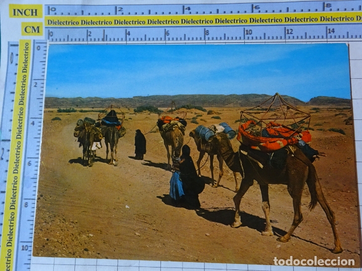 Postales: POSTAL DE MARRUECOS. ESCENA T&Iacute;PICA, TIPISMO, ESCENA VIVA. CARAVANA DE CAMELLOS. 757