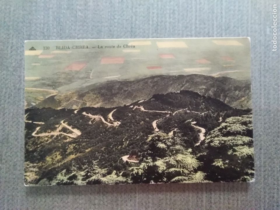 Cartoline: POSTAL BLIDA CHREA - LA ROUTE DE CHREA
