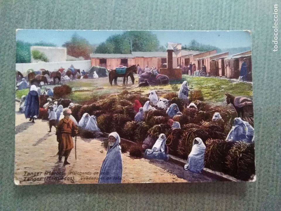 Cartoline: POSTAL TANGER (MARRUECOS) - VENDEDORES DE LE&Ntilde;A