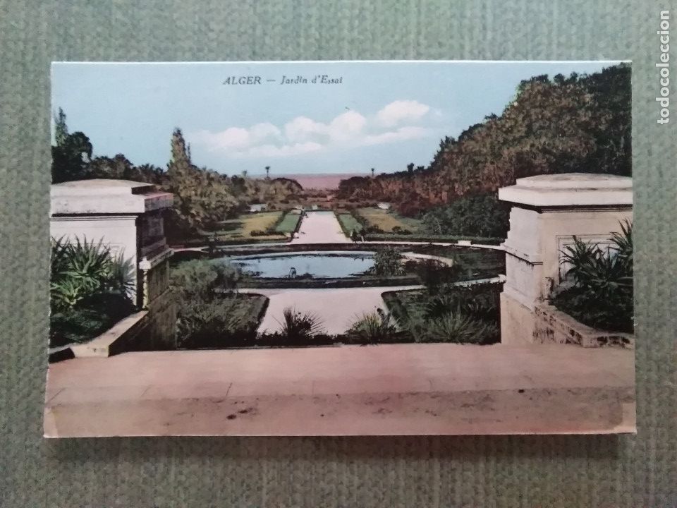 Postales: POSTAL ALGER - JARDIN DESSAL - Foto 1