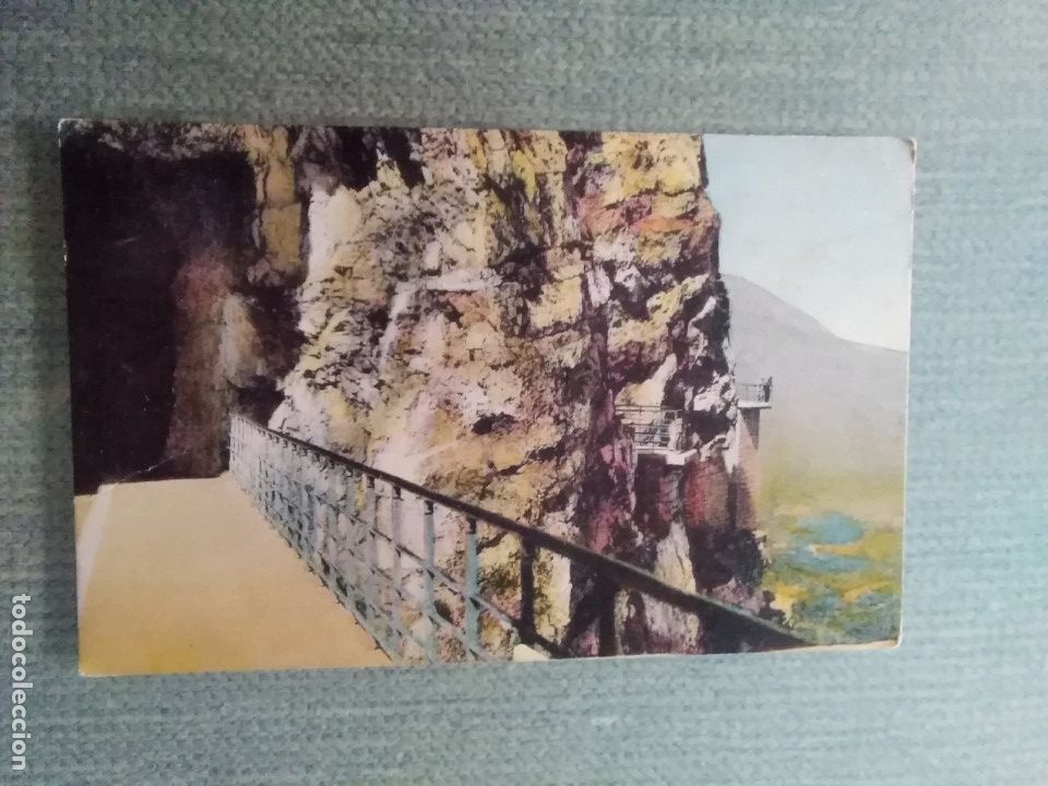 Postales: POSTAL CONSTANTINE - BOULEVARD DE LABIME - Foto 1