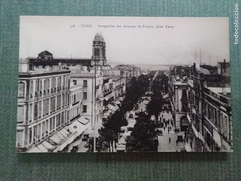 Cartoline: POSTAL TUNIS - PERSPECTIVE DES AVENUES DE FRANCE, JULES FERRY