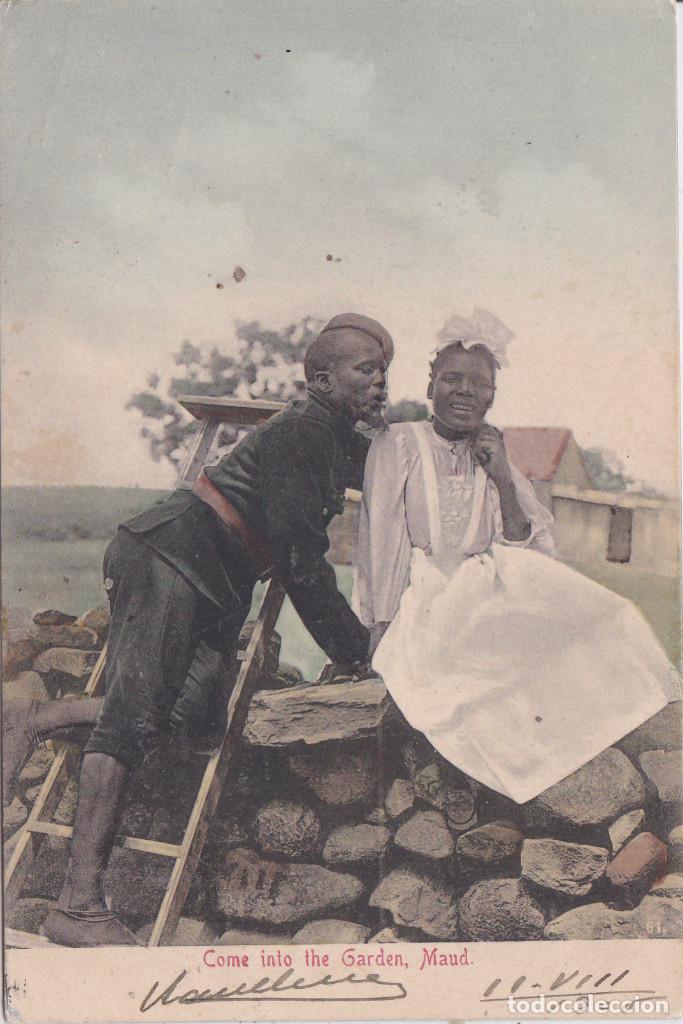 Mozambique Portugues Come Into De Garden Buy Old Postcards