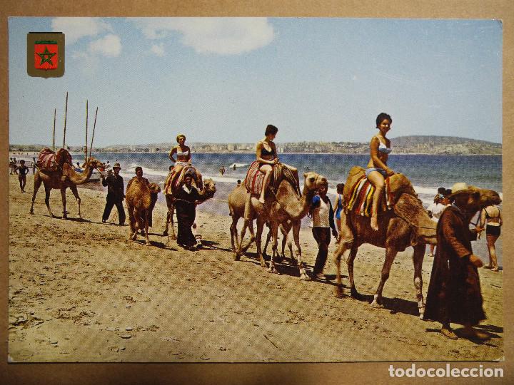 Postales: Tanger. Playa. n&ordm; 49 Nueva. - Foto 1