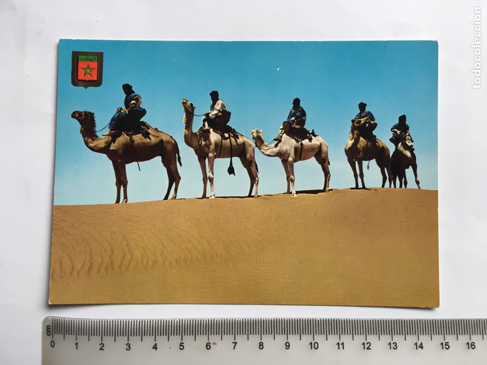 Postcards: POSTAL. MARRUECOS T&Iacute;PICO. CARAVANA DE MEHARISTAS DE M&rsquo; HAMID. ESCUDO DE ORO. EDICIONES FISA.