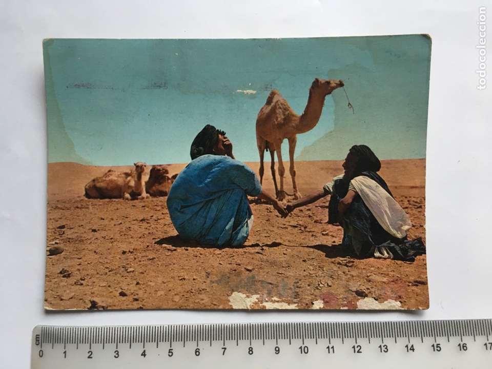 Postcards: POSTAL. SAHARA. MERCADO DE CAMELLOS. EDIC. FOTOG. PHILLIPE MART&Iacute;N.