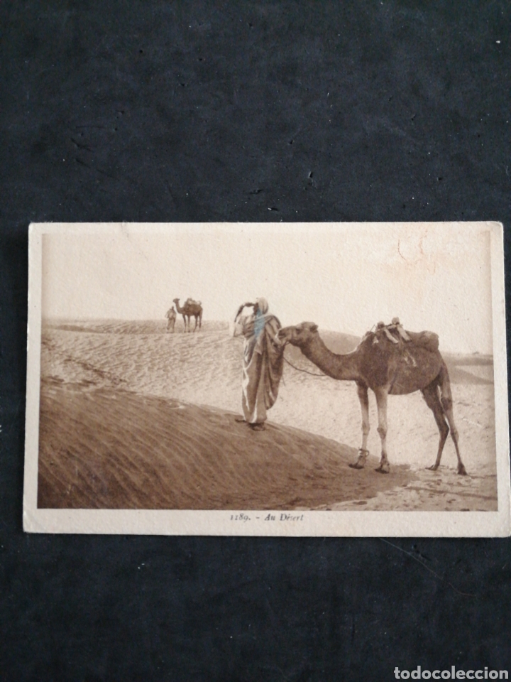 Postales: MARRUECOS , EL DESIERTO - Foto 1
